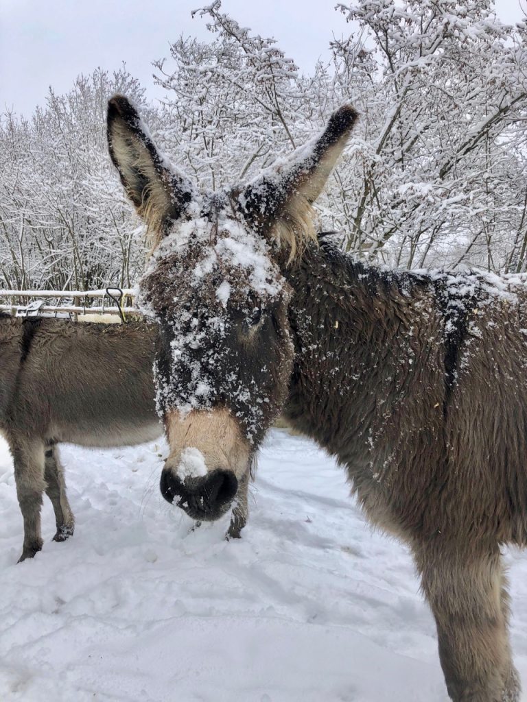 Kleine Wanderung - ausgebucht