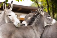 073b6a69-3d18-412c-851b-1a63caeee5b5