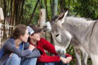 126e5cf4-a6d6-4924-b63d-ed9aea606e11