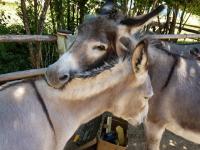 1432c763-d64e-4022-86e6-45787706c6ba