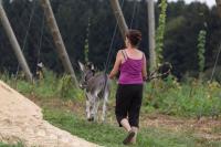 2005c4d7-1f1a-424e-9284-3d0fb285ac93