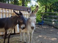 33042c7b-624f-43de-b57f-ee9d102dd2fa