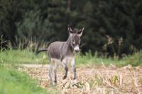 6015623a-c12b-4b27-9940-a59627a1d6de