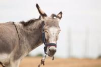 93331d93-0db3-4576-b335-9492e7a079d0