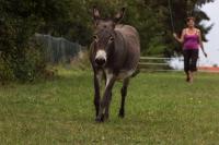 WhatsApp Image 2016-09-05 at 11.05.47