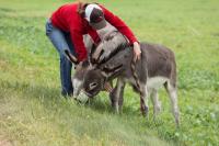 d6713d1b-2129-44ac-84f6-e6e14cc3a75d