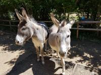 e0dedbb7-56d6-4741-b2e2-81865a25c578